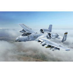 MODELO 1:48 A-10C "Blacksnakes" MODELO 1:48 A-10C "Blacksnakes"