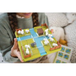 COUNTING SHEEP COUNTING SHEEP